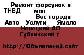 Ремонт форсунок и ТНВД Man (ман) TGA, TGL, TGS, TGM, TGX - Все города Авто » Услуги   . Ямало-Ненецкий АО,Губкинский г.